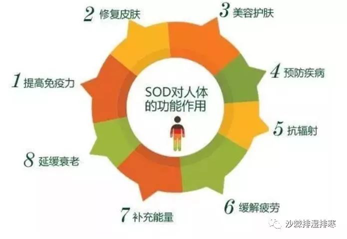 沙棘為什么能被稱為“口服的化妝品”？