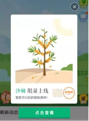 螞蟻森林新樹種沙棘兩天領(lǐng)光！沙棘的功能已經(jīng)被大眾所接受！