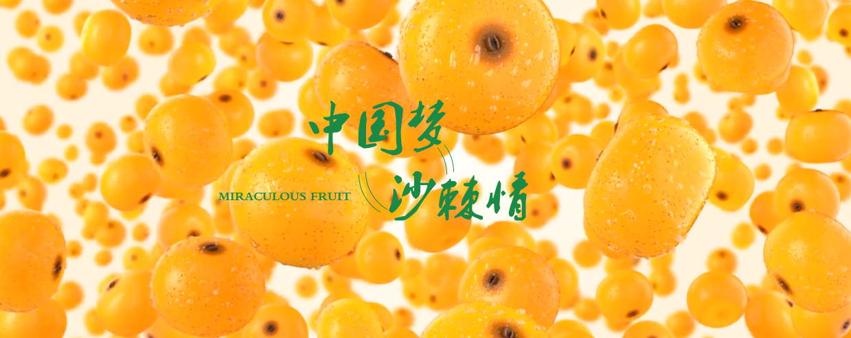 簡介