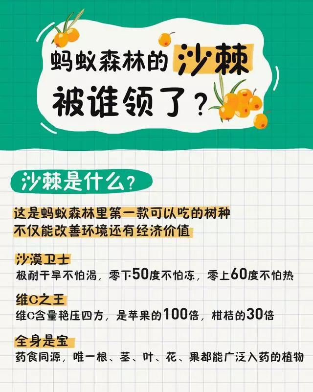 螞蟻森林新樹種沙棘兩天領(lǐng)光！沙棘的功能已經(jīng)被大眾所接受！